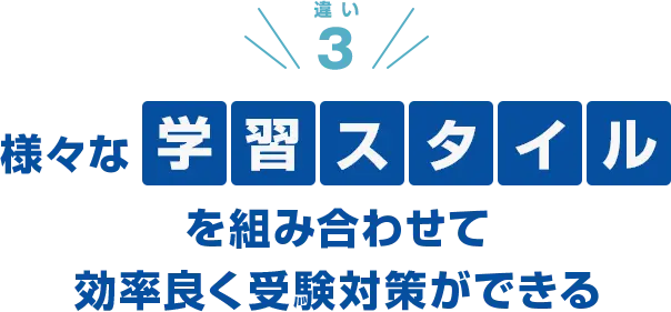 違い3 さまざまな学習スタイルを組み合わせて効率よく受験対策ができる