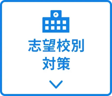 志望校別対策 体験プラン