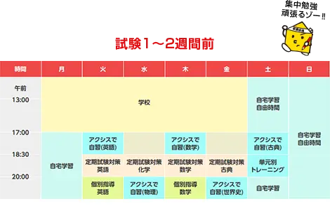 試験1~2週間前