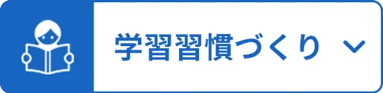 志望校別対策 体験プラン