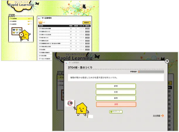 ラピッドラーニング