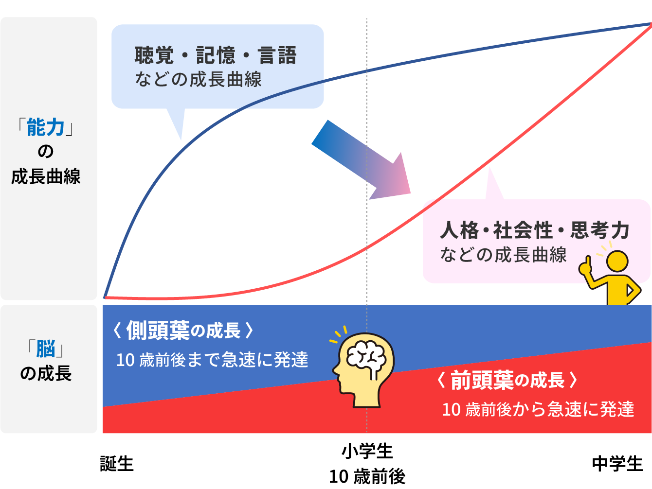小学生】国語力を伸ばすためには？家庭でできることや勉強法を解説 - 個別指導塾Axis（アクシス）｜小学生・中学生・高校生の学習塾・進学塾