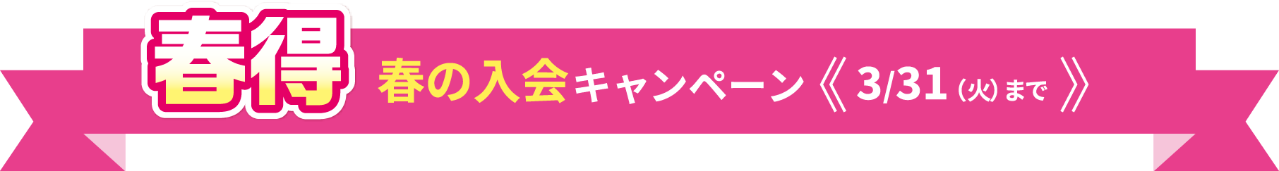 春の入会キャンペーン