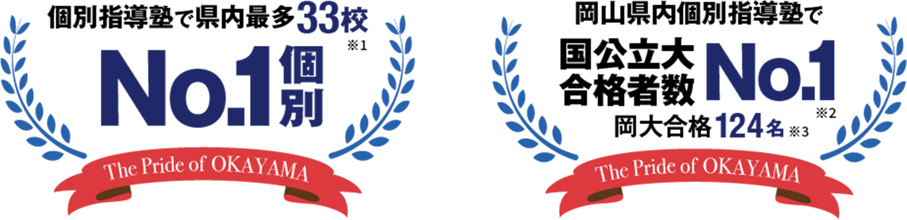 岡山お客様アンケート2025 個別No.1（個別指導塾で県内最多33校） 岡山県内個別指導塾で国公立大合格者数No.1（岡大合格124名）